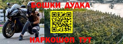 эйфоретик Новодвинск