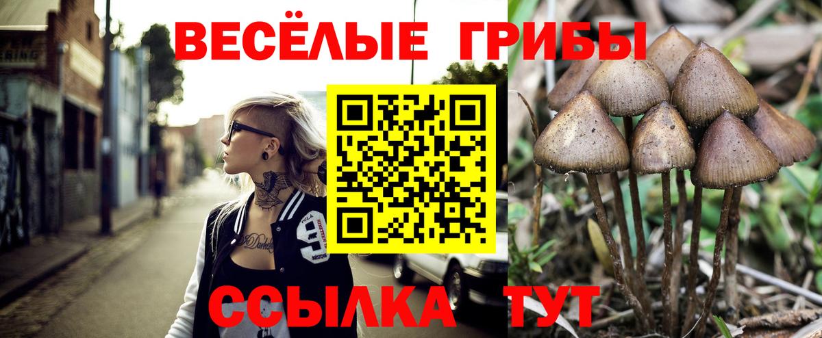 цены наркотик  Псилоцибиновые грибы мухоморы  Вход с VPN  Троицк  Псилоцибиновые грибы Cubensis 