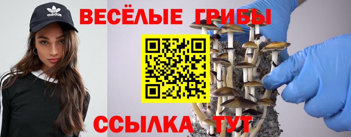 Галлюциногенные грибы Cubensis Троицк